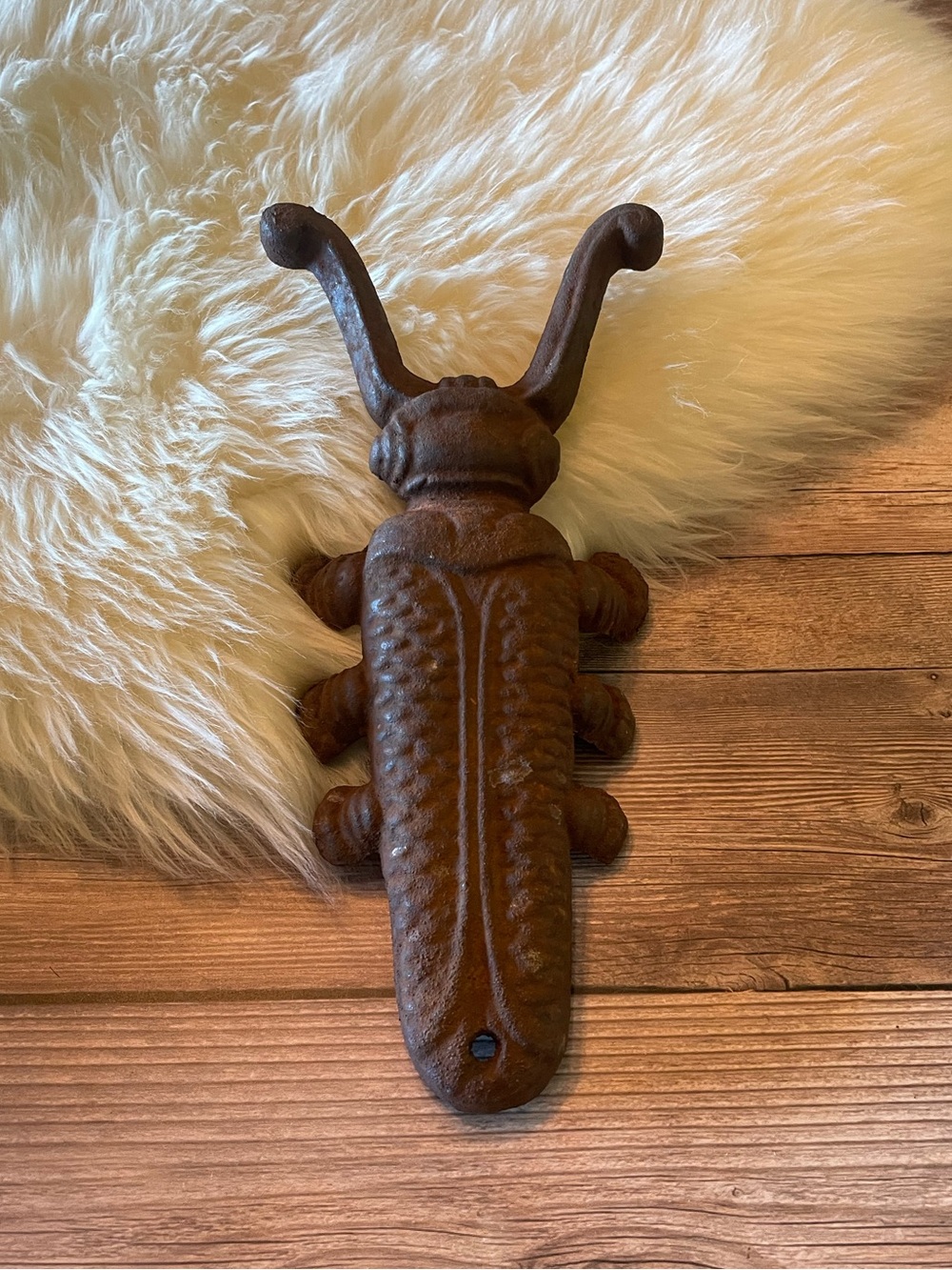 Vintage Cast-iron Beetle Boot Jack